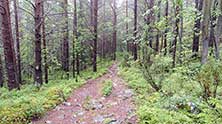 Кандалакша
