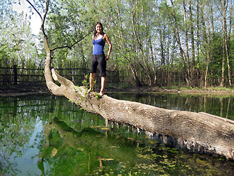 Казань