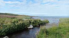 Рыбачий