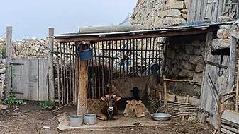 Осетия