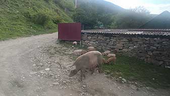Осетия