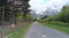 Осетия