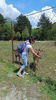 Осетия
