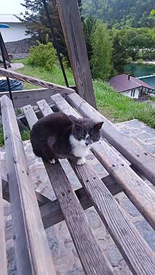Осетия