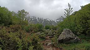 Осетия