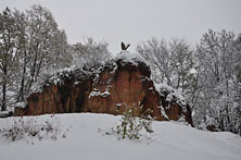Кисловодск
