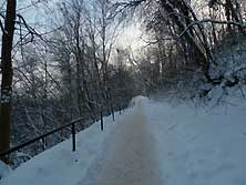 Изборск