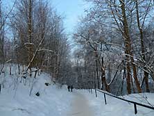Изборск