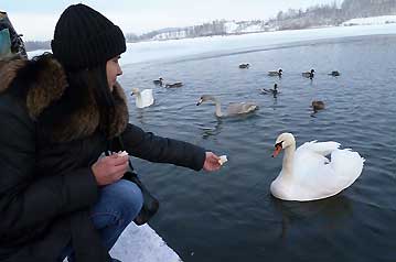 Изборск