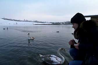Изборск