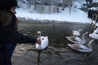 Изборск
