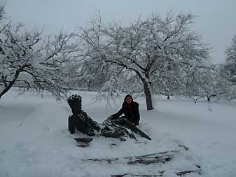 Псков
