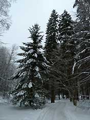 Псков