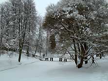 Псков