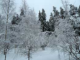 Псков