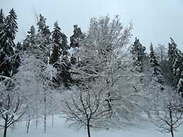 Псков