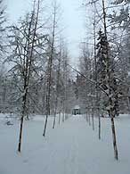Псков