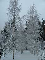Псков