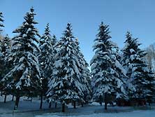 Печеры