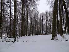 Псков