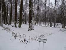 Псков