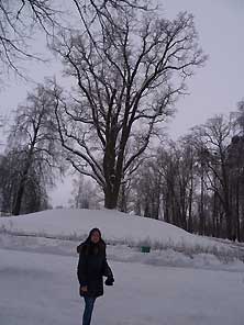 Псков