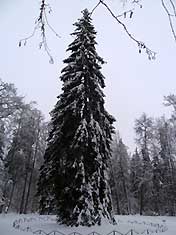 Псков