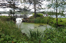 Карелия