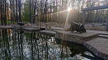 Новомосковск