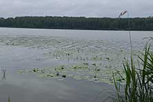 Солнечногорск