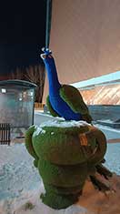 Тобольск