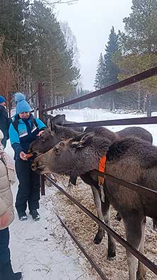 Зюраткуль