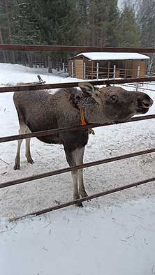 Зюраткуль