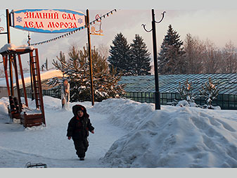 Устюг