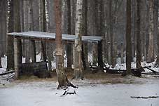 Зубрятник
