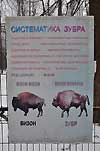 Зубрятник