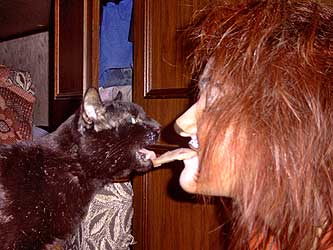 Cats