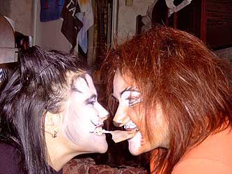 Cats