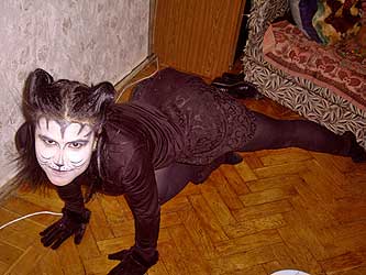 Cats
