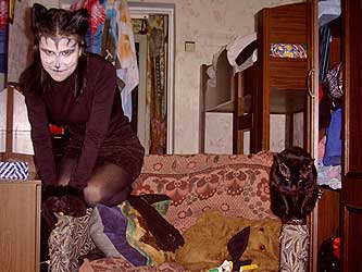 Cats