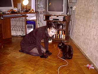 Cats