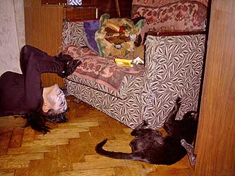 Cats