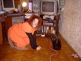 Cats
