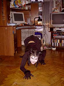 Cats