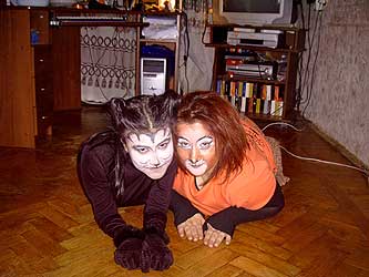 Cats