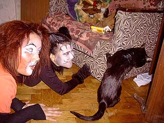 Cats