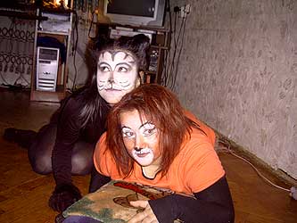 Cats