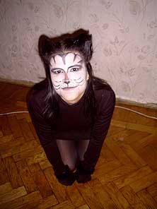 Cats
