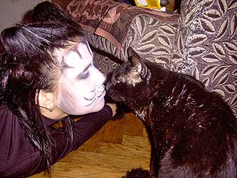 Cats