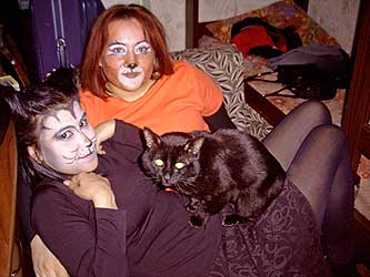 Cats